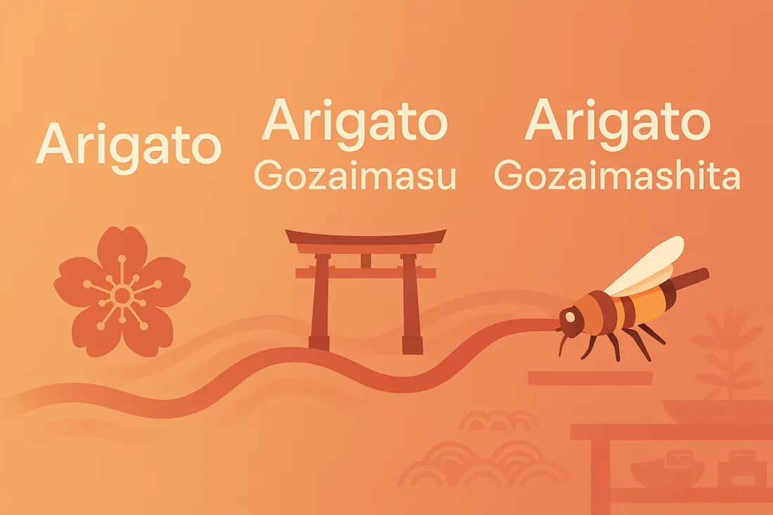 Arigato Gozaimashita Meaning Explained with Examples
