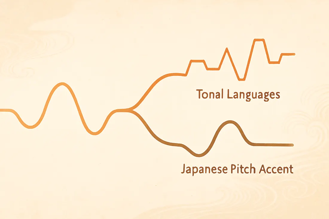 Is Japanese Tonal? Understanding Pitch Accent